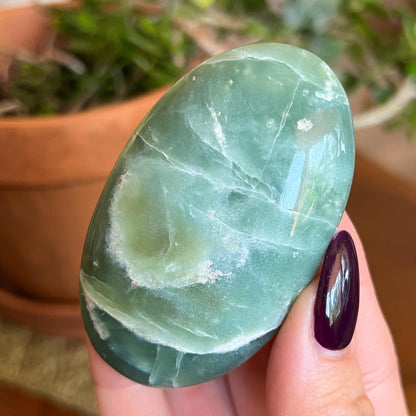 Green Jade Palm Stones