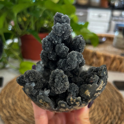 Black Galaxy Amethyst Geode