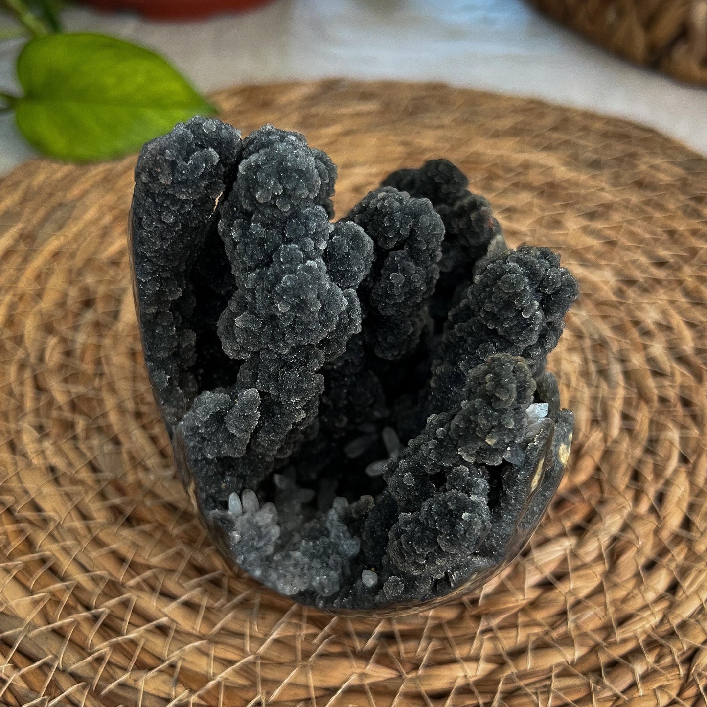 Black Galaxy Amethyst Geode