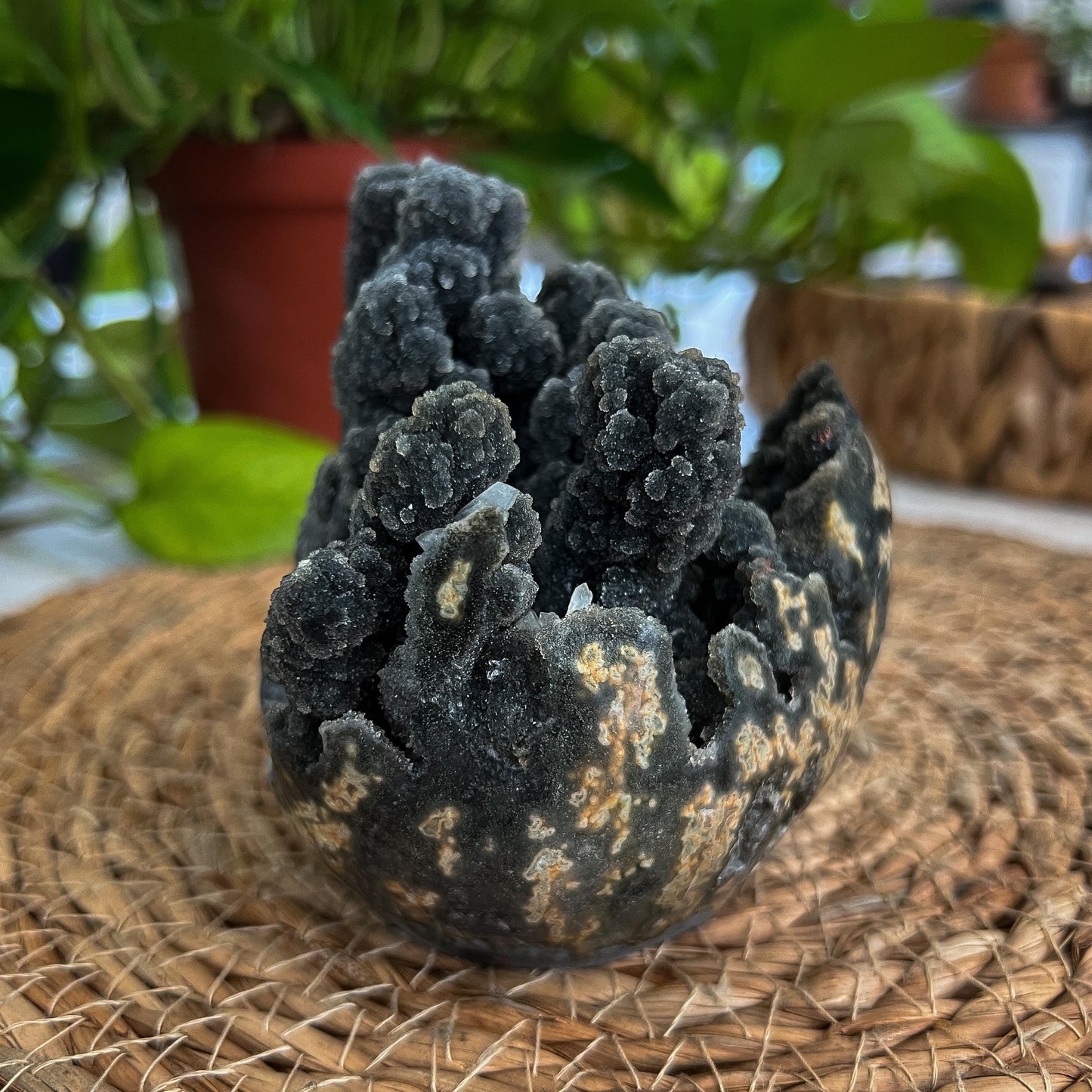 Black Galaxy Amethyst Geode