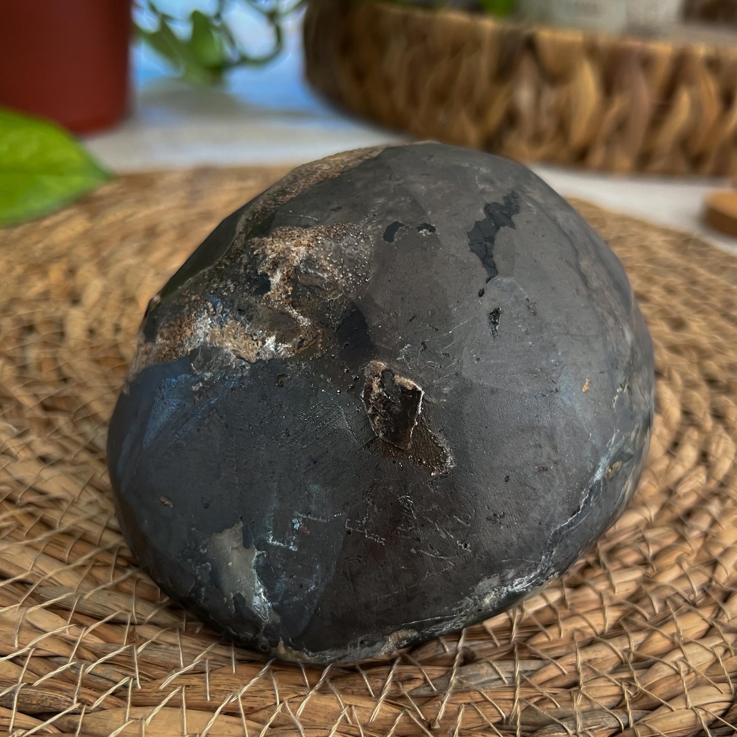Black Galaxy Amethyst Geode
