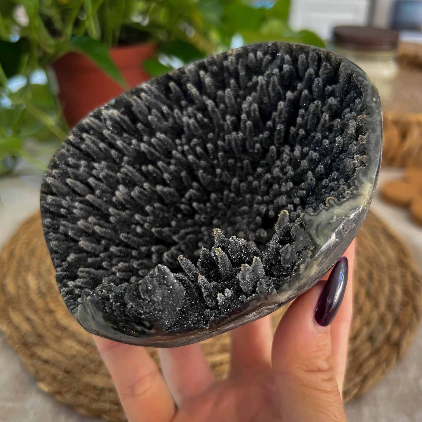 Black Galaxy Amethyst Geode