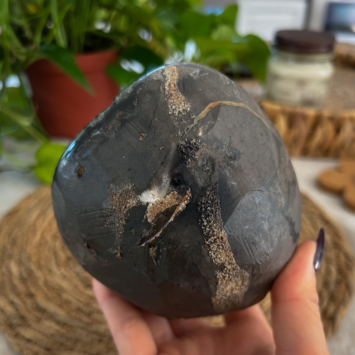 Black Galaxy Amethyst Geode