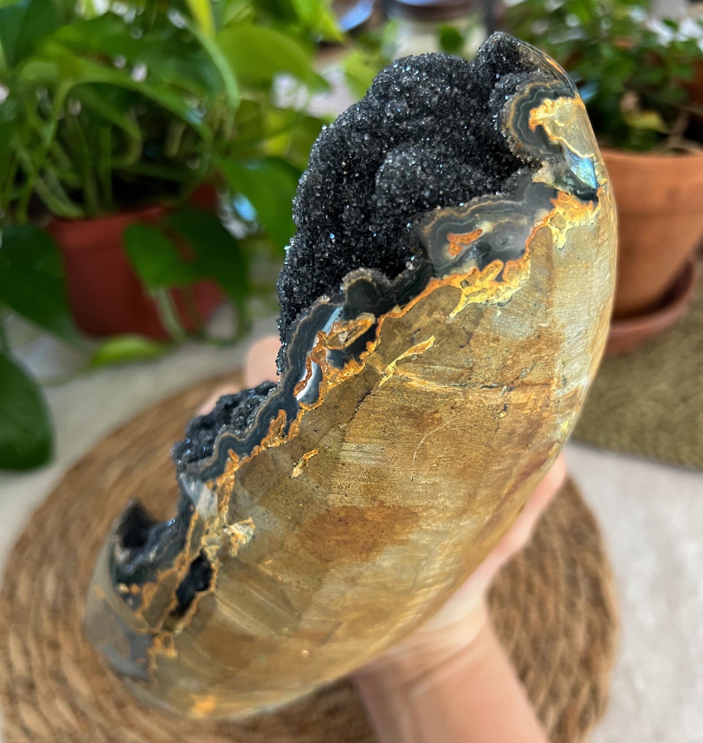 Black Amethyst Geode