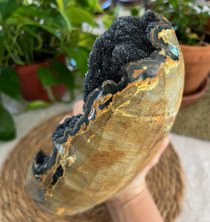 Black Amethyst Geode