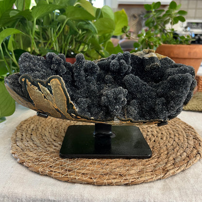 Black Amethyst Geode