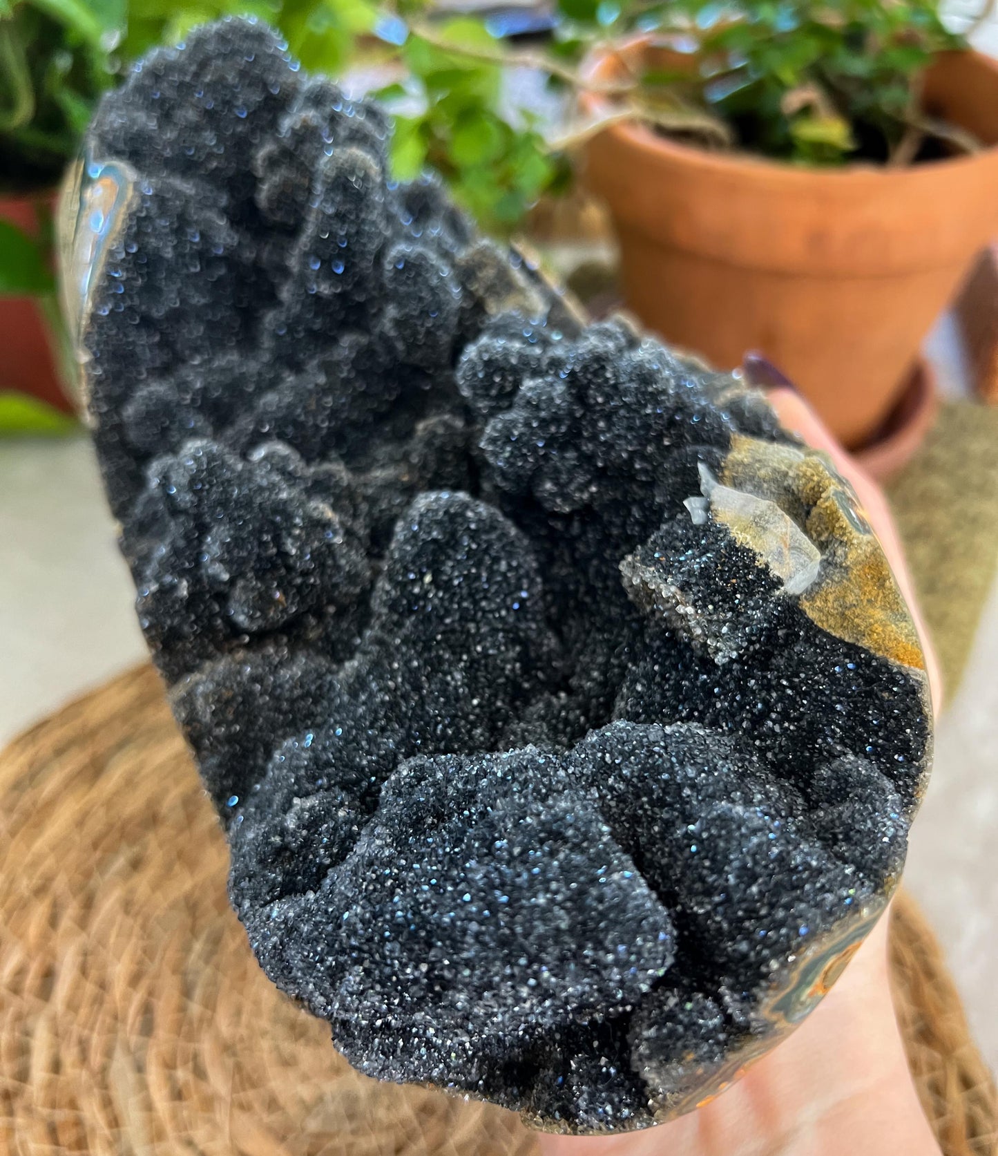 Black Amethyst Geode