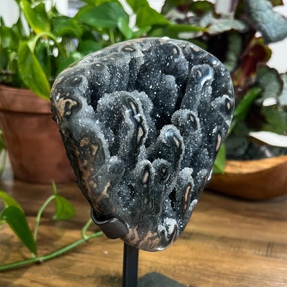 Gray Black Galaxy Amethyst Geode: Jasper Eyes and Stalactites, Druzy Crystal from Uruguay