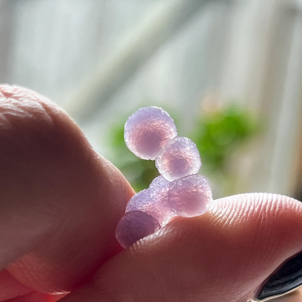Grape Agate AAA