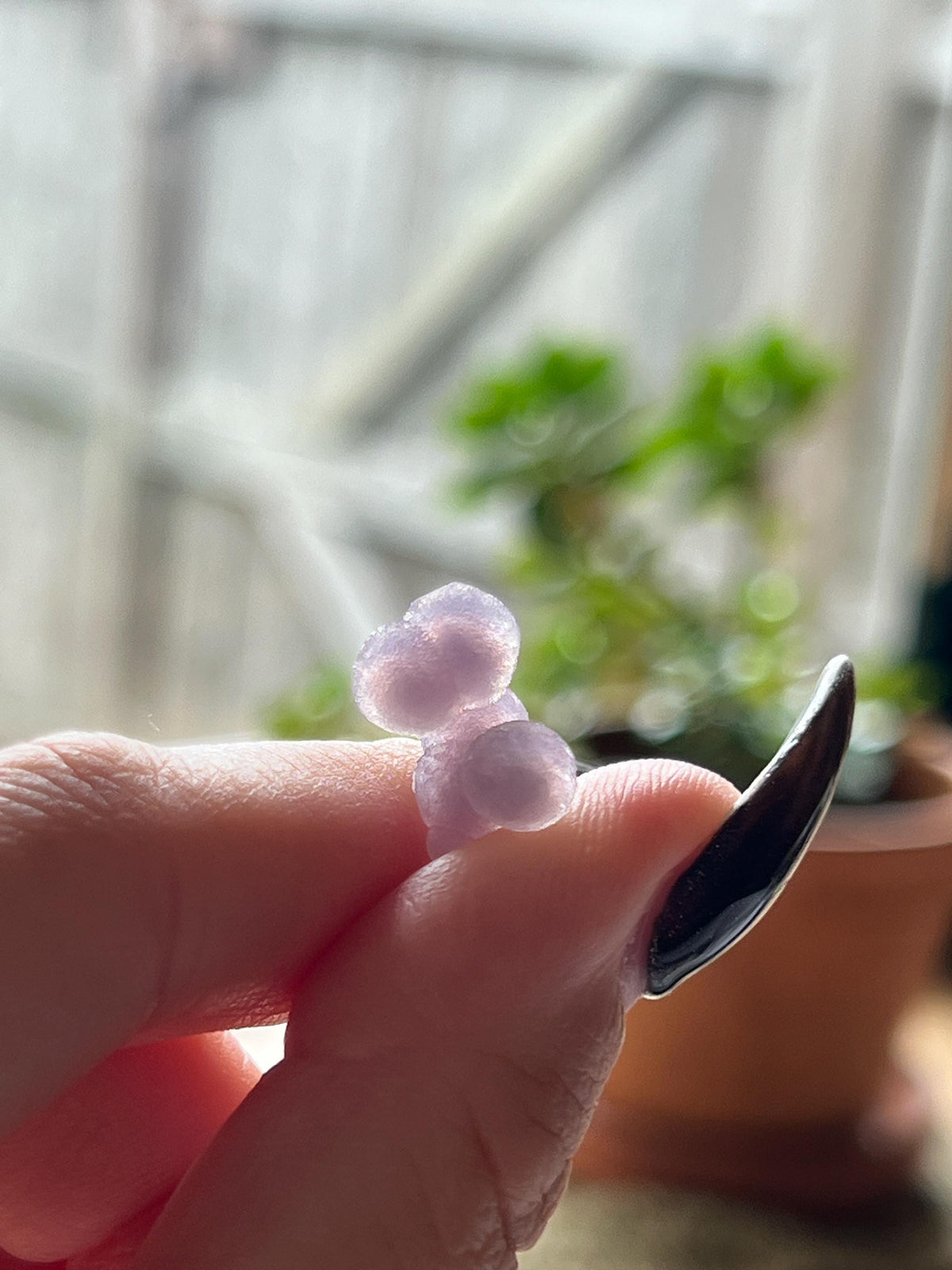 Grape Agate AAA