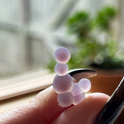 Grape Agate AAA