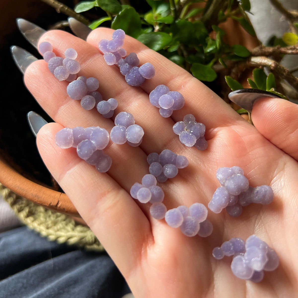 Grape Agate AAA