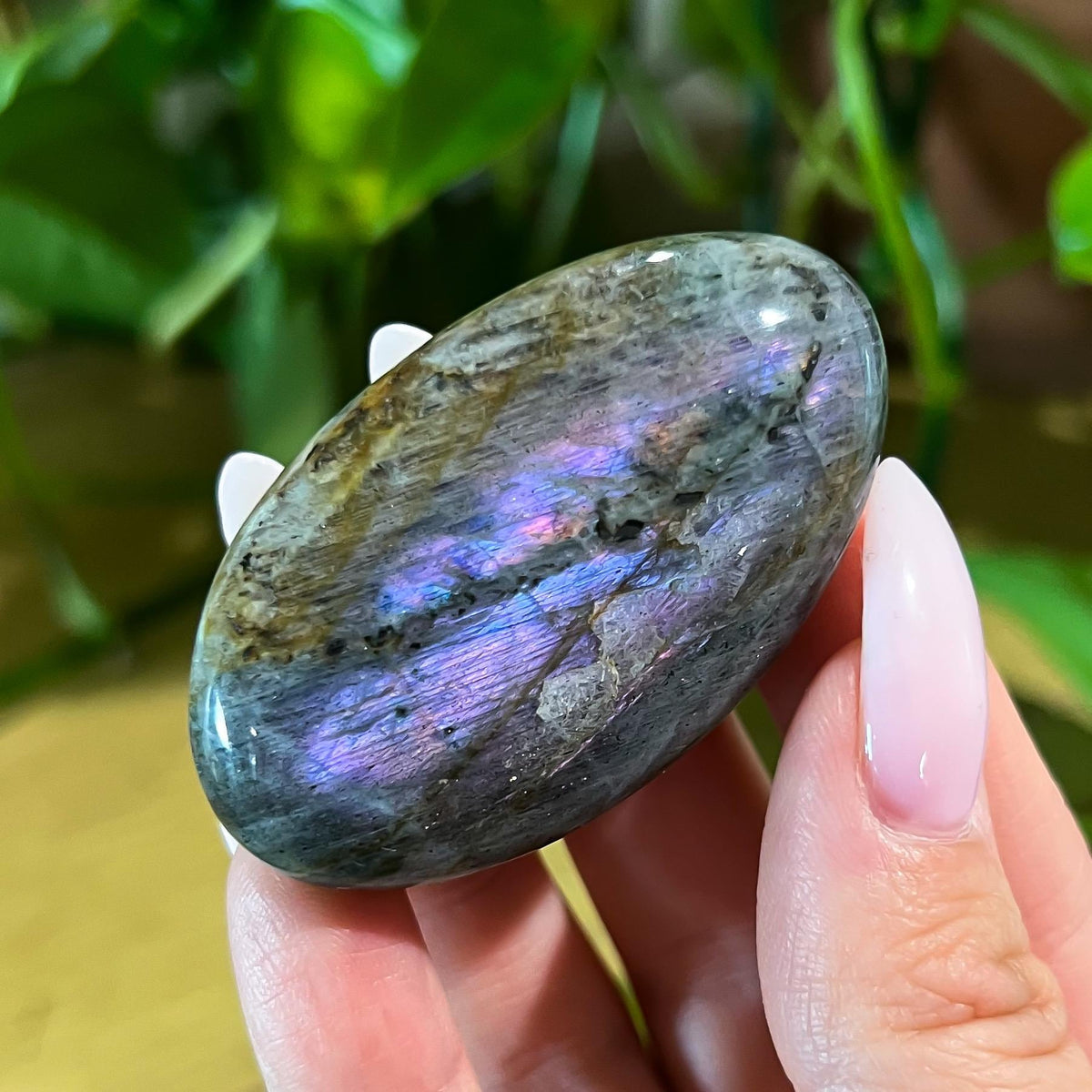 Purple Labradorite Palm Stone