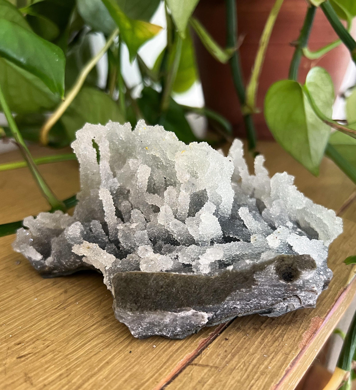Stalactite Formation Cluster