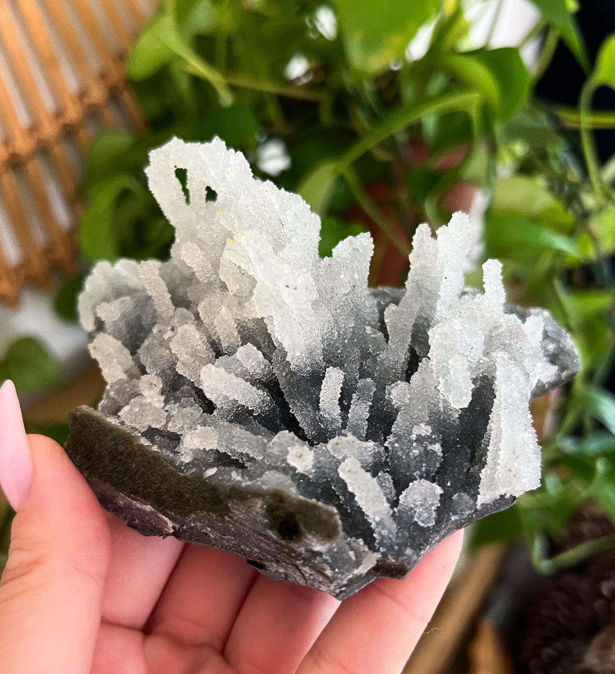 Stalactite Formation Cluster