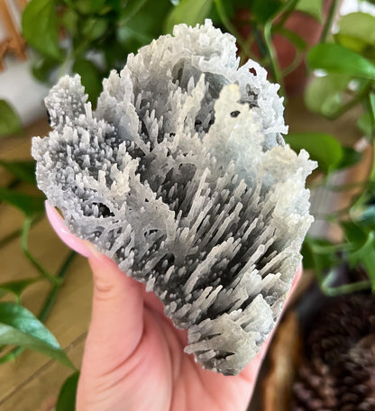 Stalactite Formation Cluster
