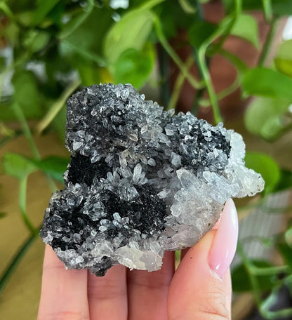 Stalactite Formation Cluster