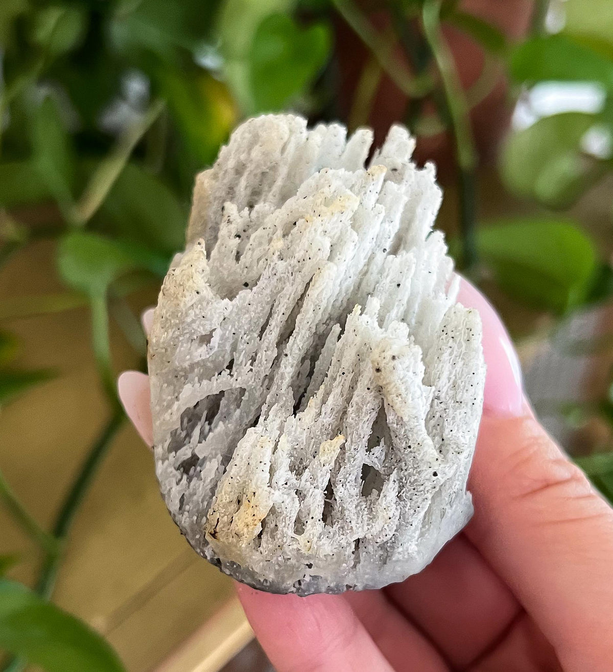 Stalactite Formation Cluster