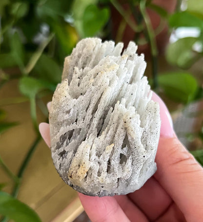 Stalactite Formation Cluster