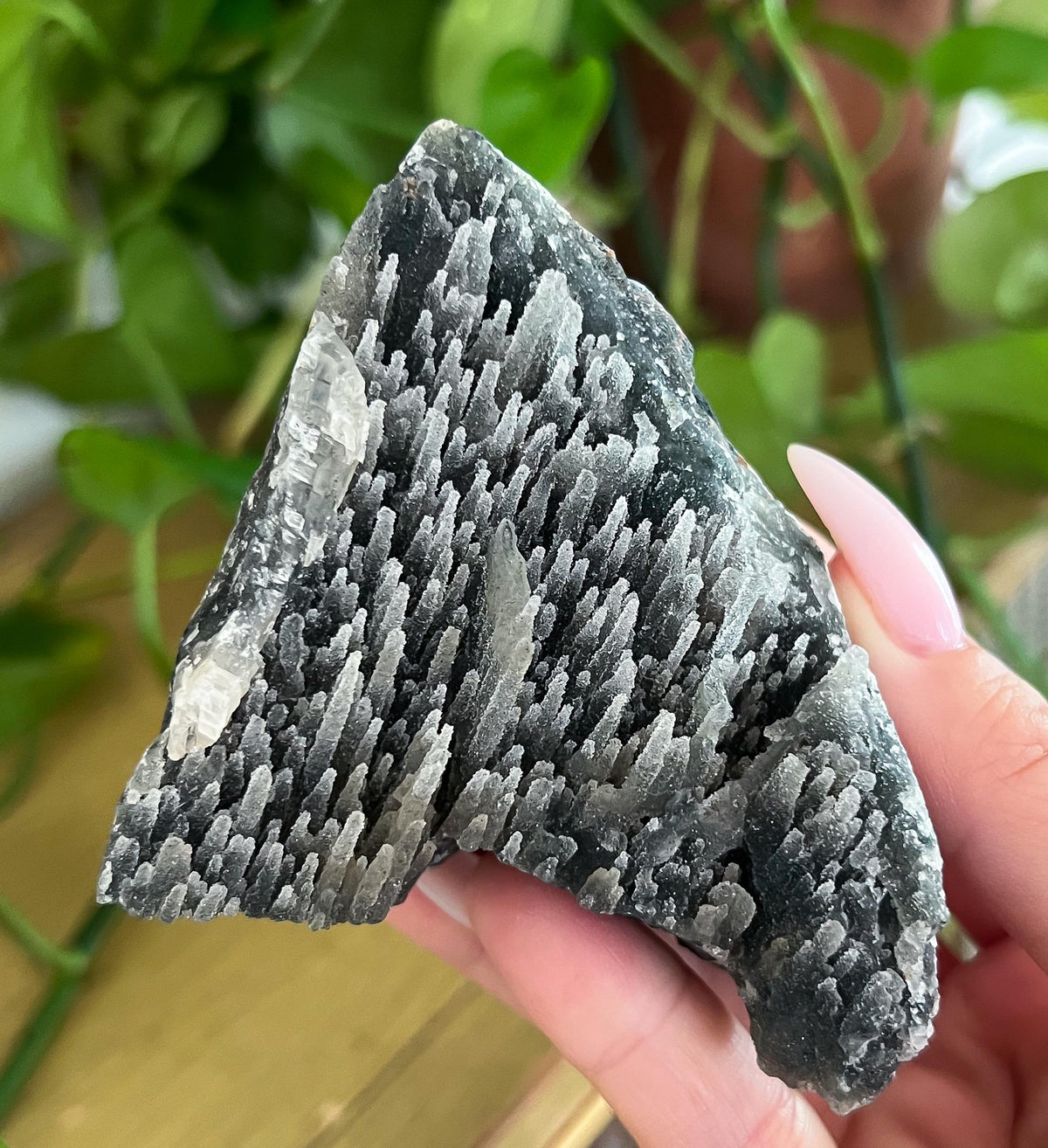 Stalactite Formation Cluster