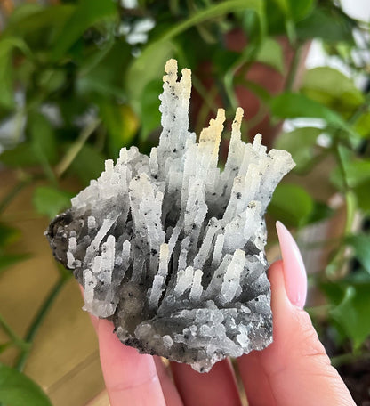 Stalactite Formation Cluster