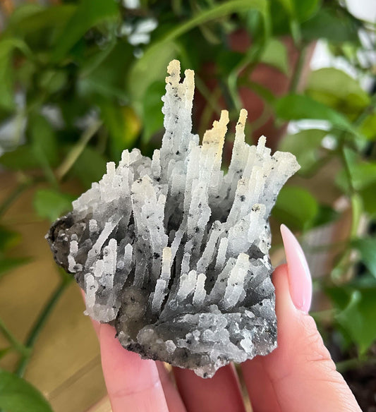 Stalactite Formation Cluster