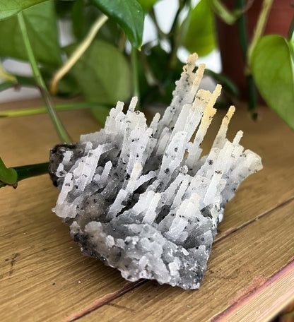 Stalactite Formation Cluster