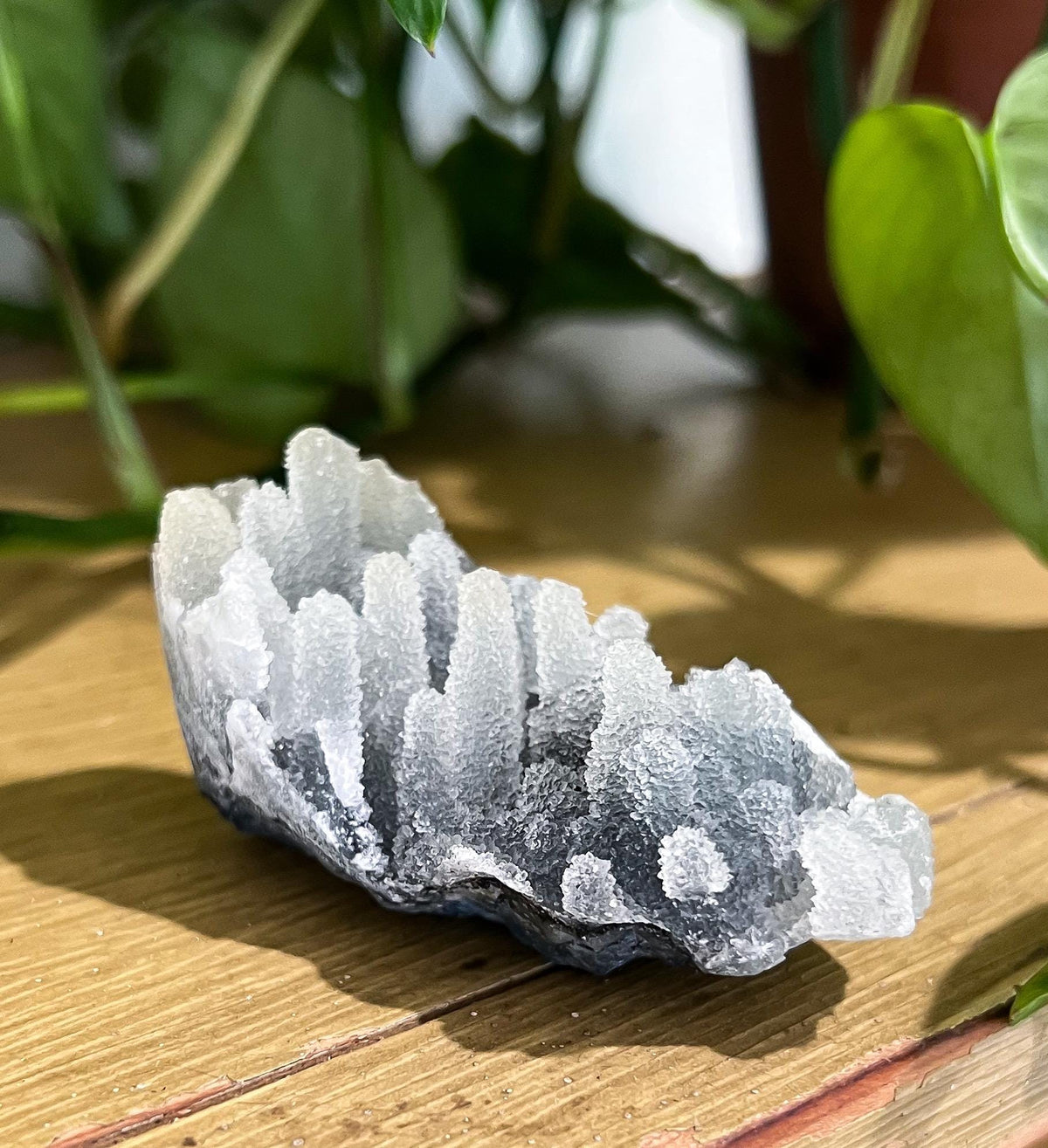 Stalactite Formation Cluster