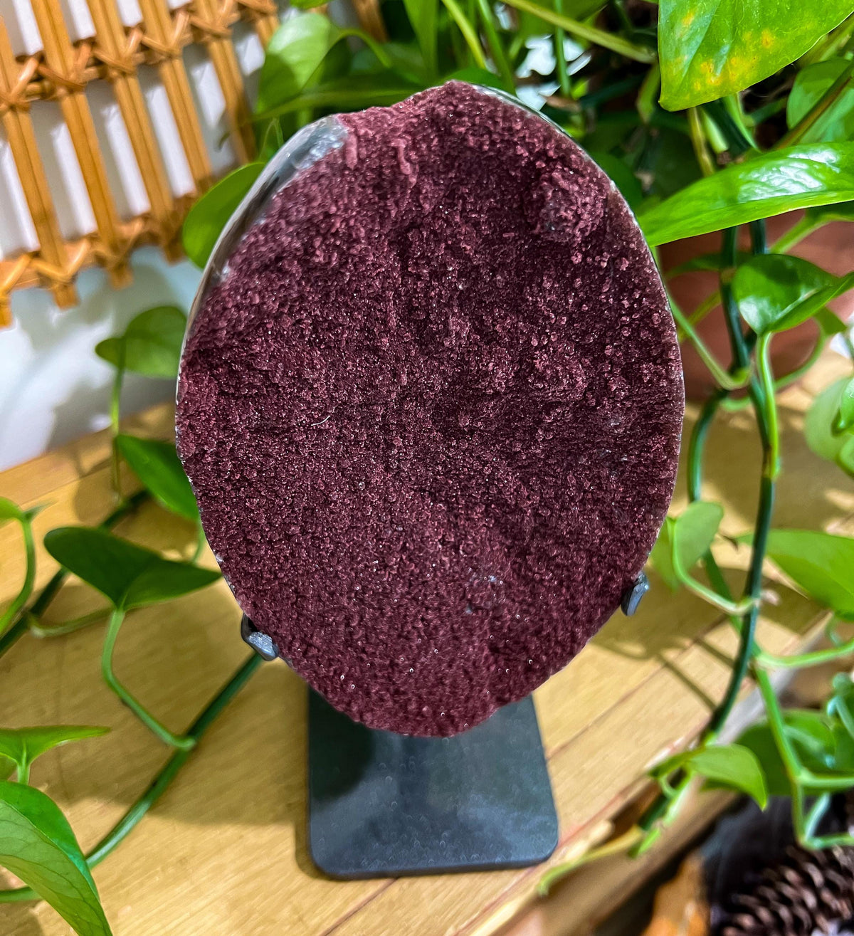 Druzy Red Quartz Display