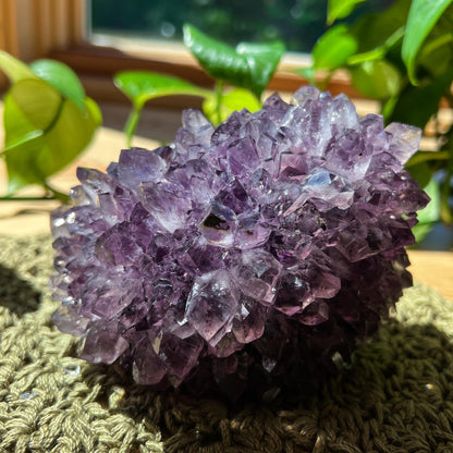 XL Amethyst Flower: Extra Large Crystal Cluster, Purple Mineral