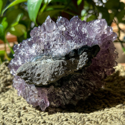 XL Amethyst Flower: Extra Large Crystal Cluster, Purple Mineral