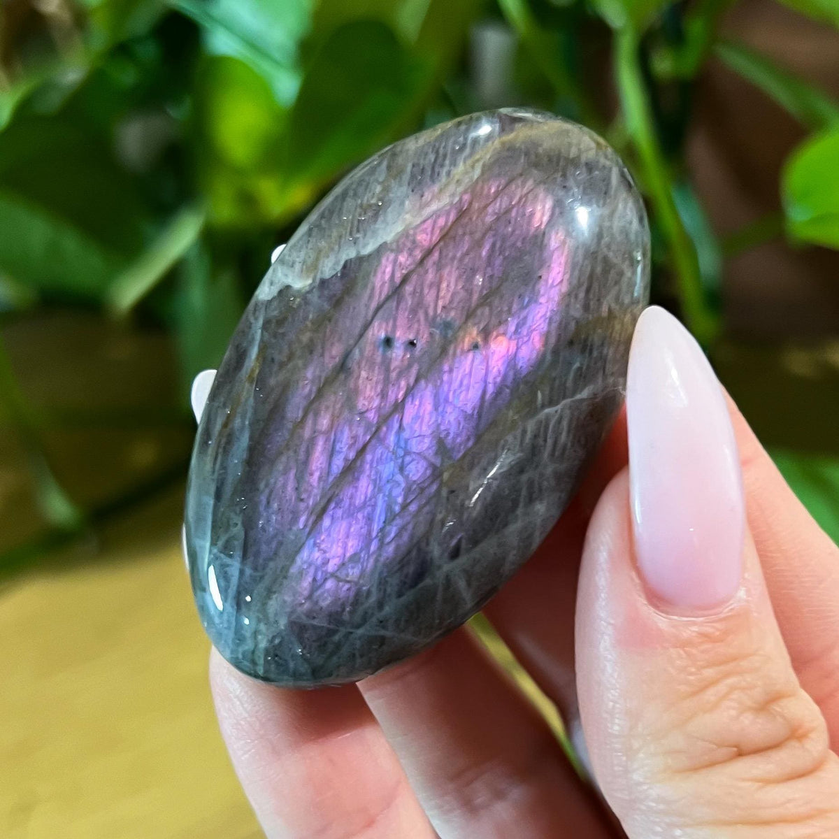 Purple Labradorite Palm Stone