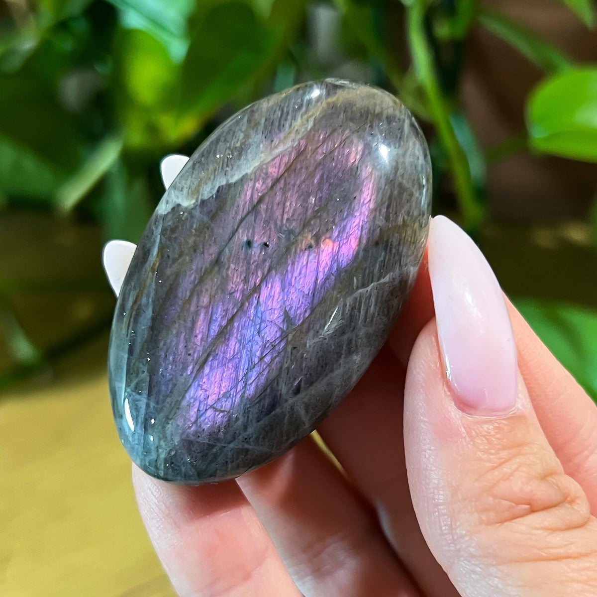 Purple Labradorite Palm Stone