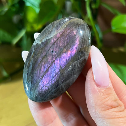 Purple Labradorite Palm Stone