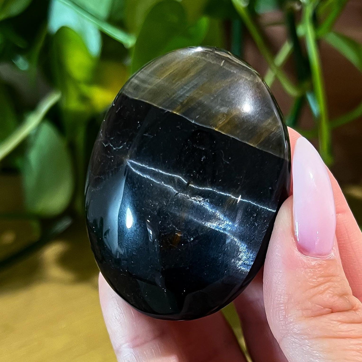 Blue Tigers Eye Palm Stone