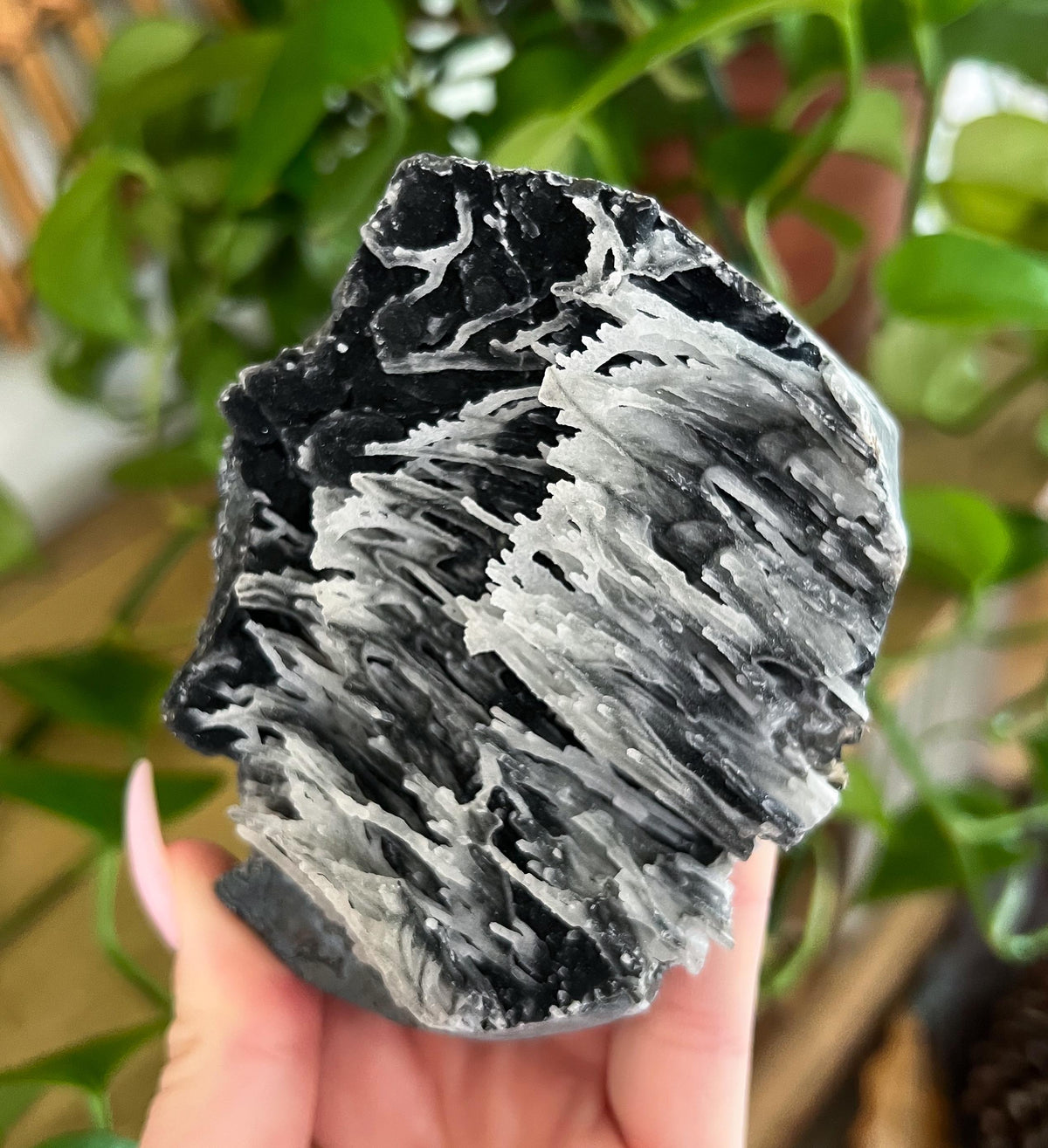 Stalactite Formation Cluster
