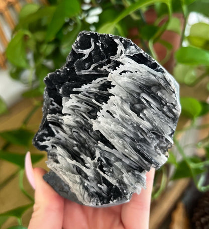Stalactite Formation Cluster