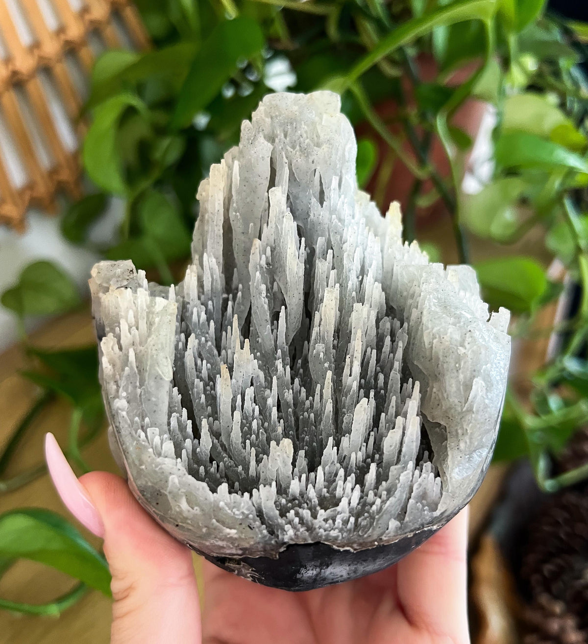 Stalactite Formation Cluster