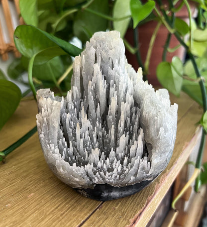 Stalactite Formation Cluster