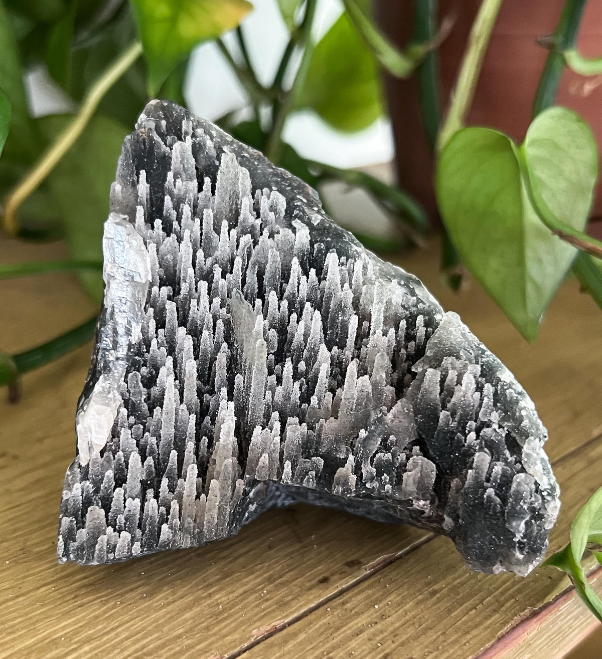 Stalactite Formation Cluster