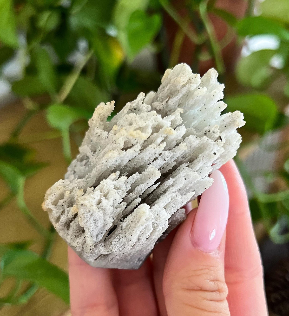 Stalactite Formation Cluster