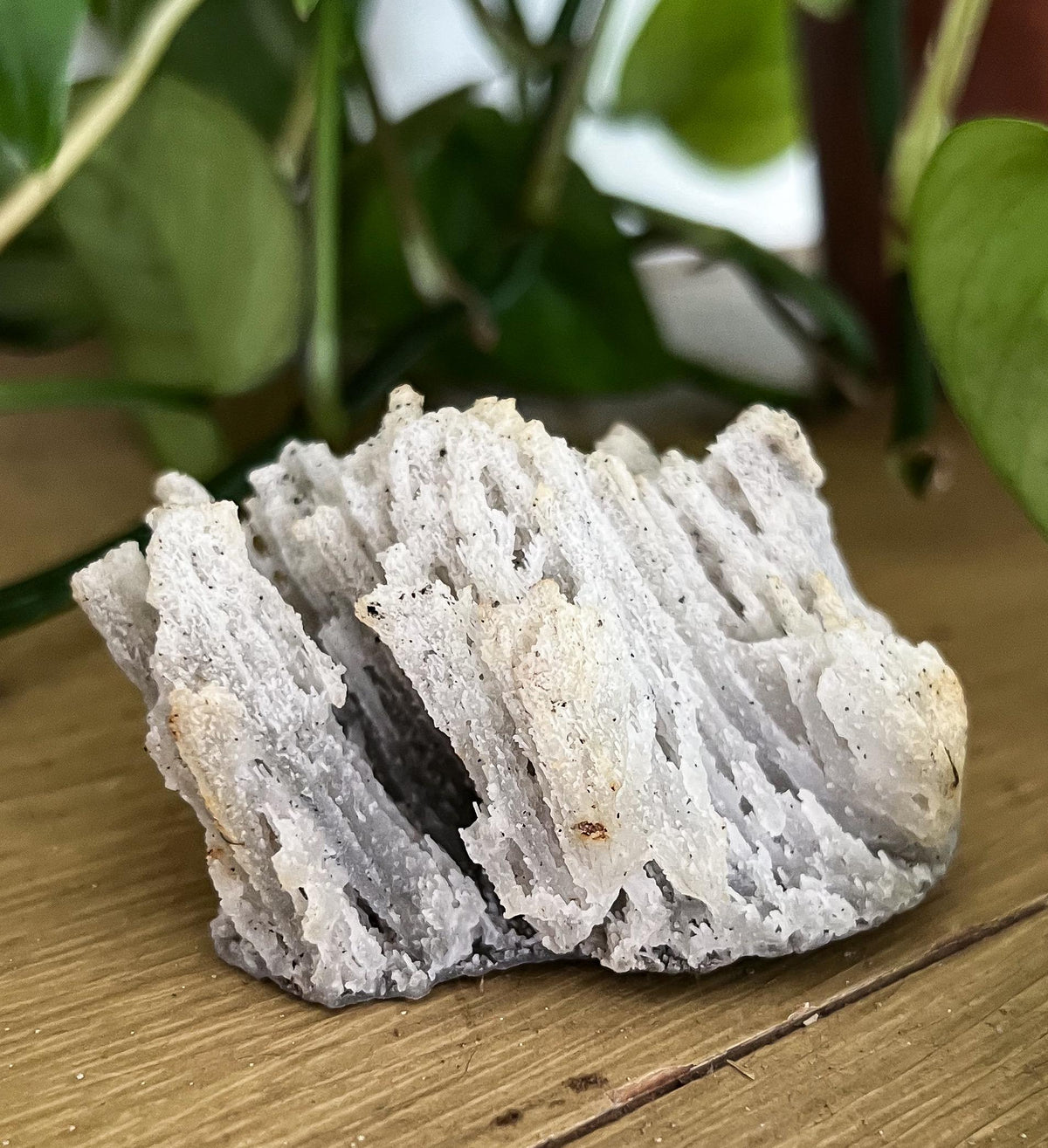 Stalactite Formation Cluster
