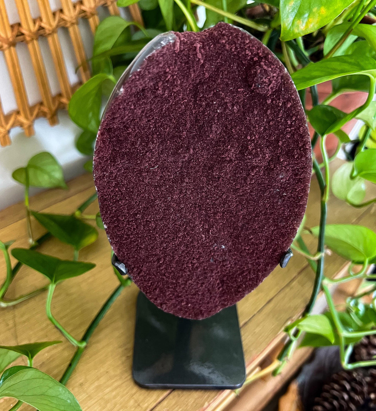 Druzy Red Quartz Display