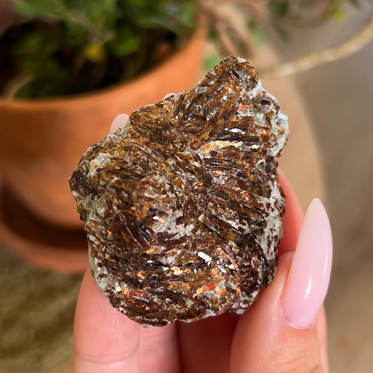 Astrophyllite Raw