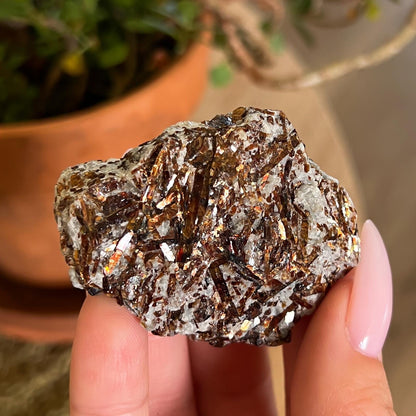 Astrophyllite Raw