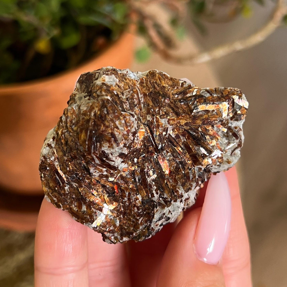 Astrophyllite Raw