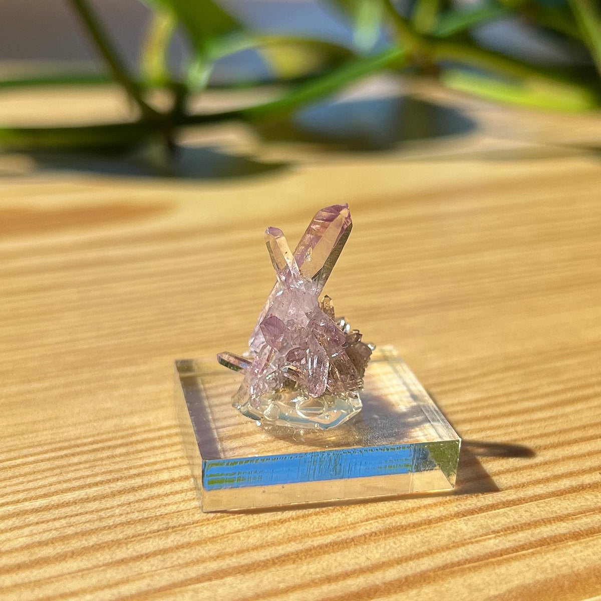 Vera Cruz Amethyst Specimen