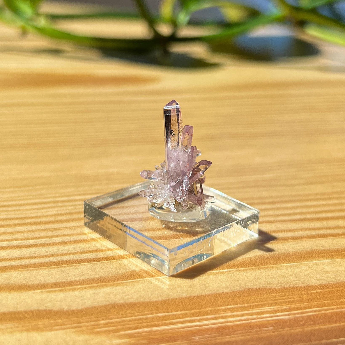 Vera Cruz Amethyst Specimen