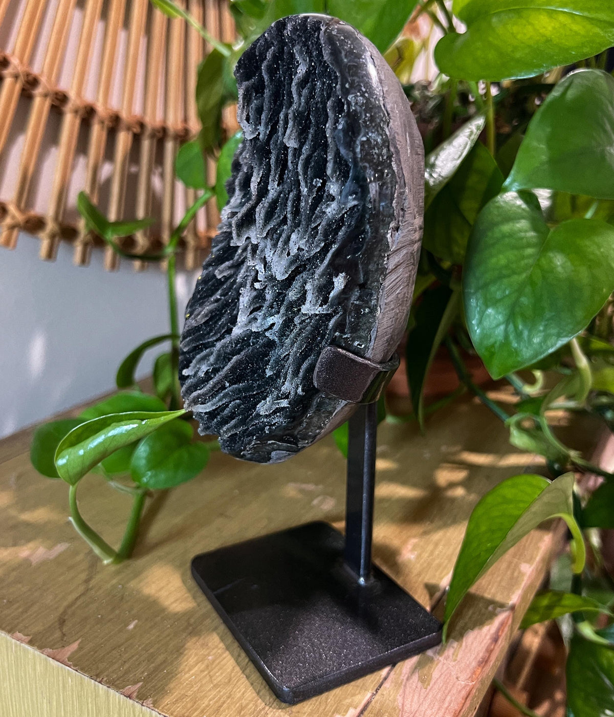 Black Galaxy Amethyst Geode