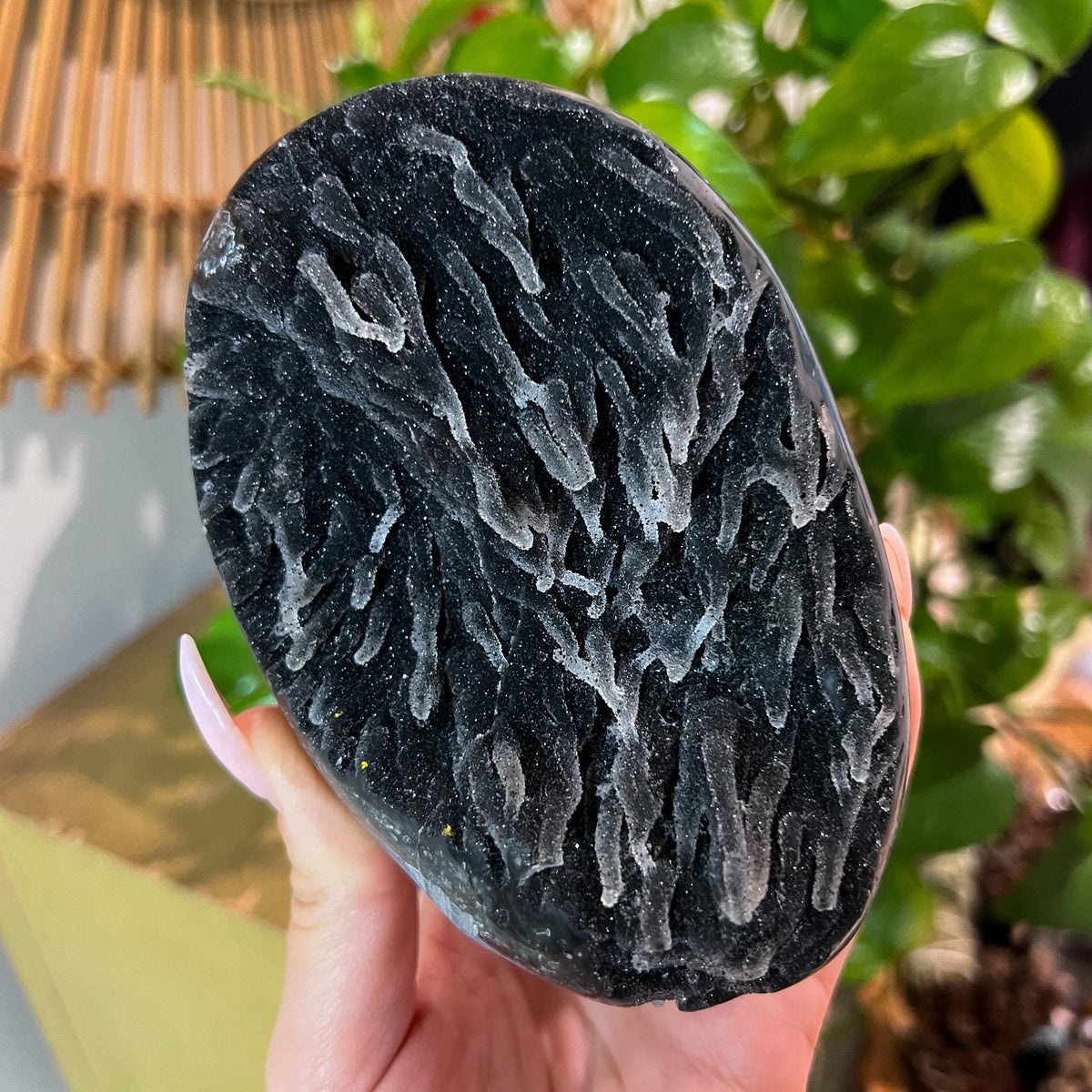 Black Galaxy Amethyst Geode